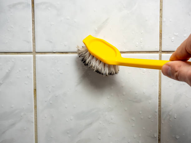 Best Emergency Mold Removal  in Escatawpa, MS