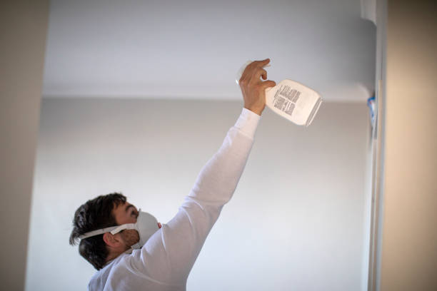 Best Toxic Mold Removal  in Escatawpa, MS